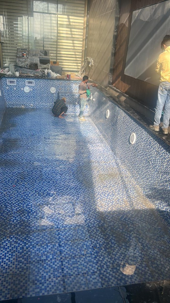 Swimming Pool Before Cleaning