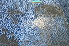 WhatsApp-Image-2025-12-11-at-17.45.56